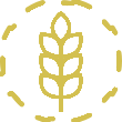 Traza de gluten